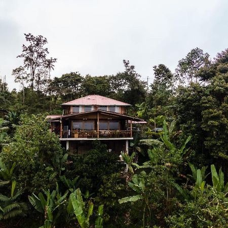 Casa De Vista Alta Hotel Mindo Kültér fotó
