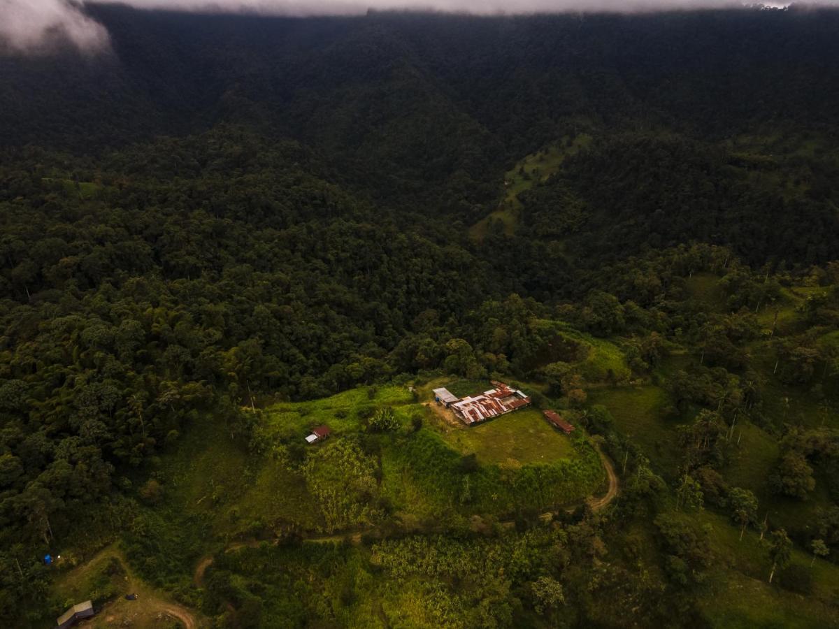 Casa De Vista Alta Hotel Mindo Kültér fotó
